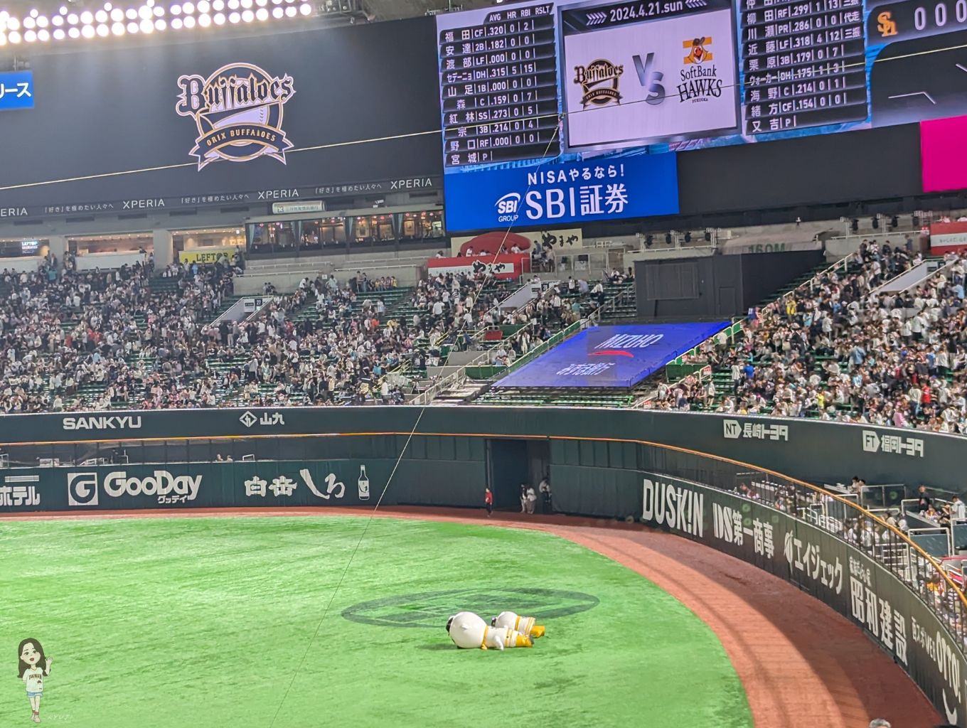 趴在地上的ふうさん